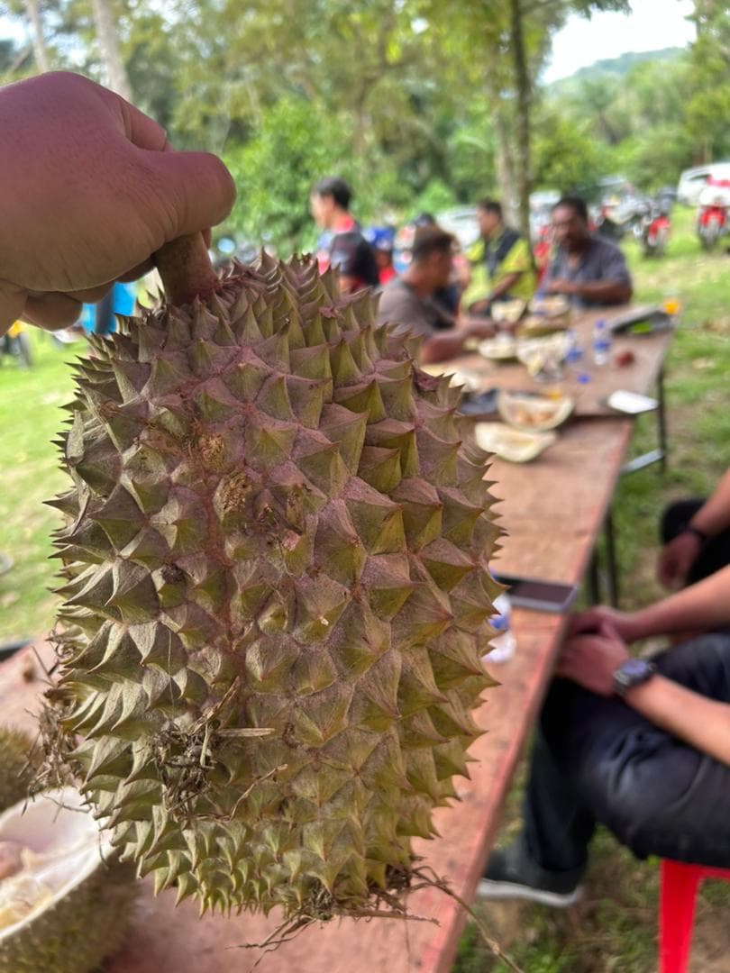 RD Durian Weekend 2026